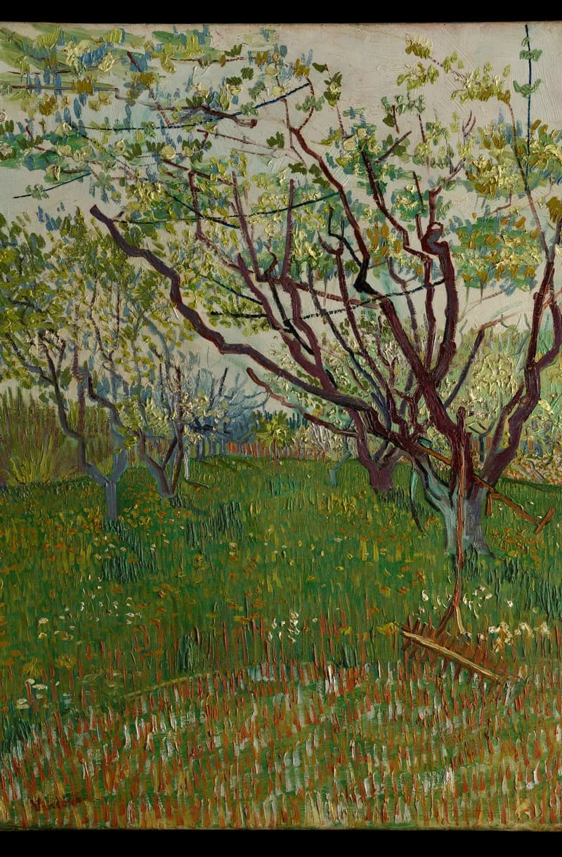 Le Verger en Fleurs – Van Gogh