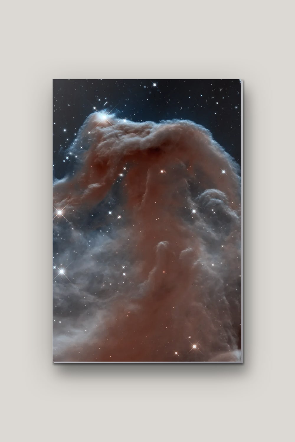 La Nébuleuse de la Tête de Cheval, poster en métal sur fond uni